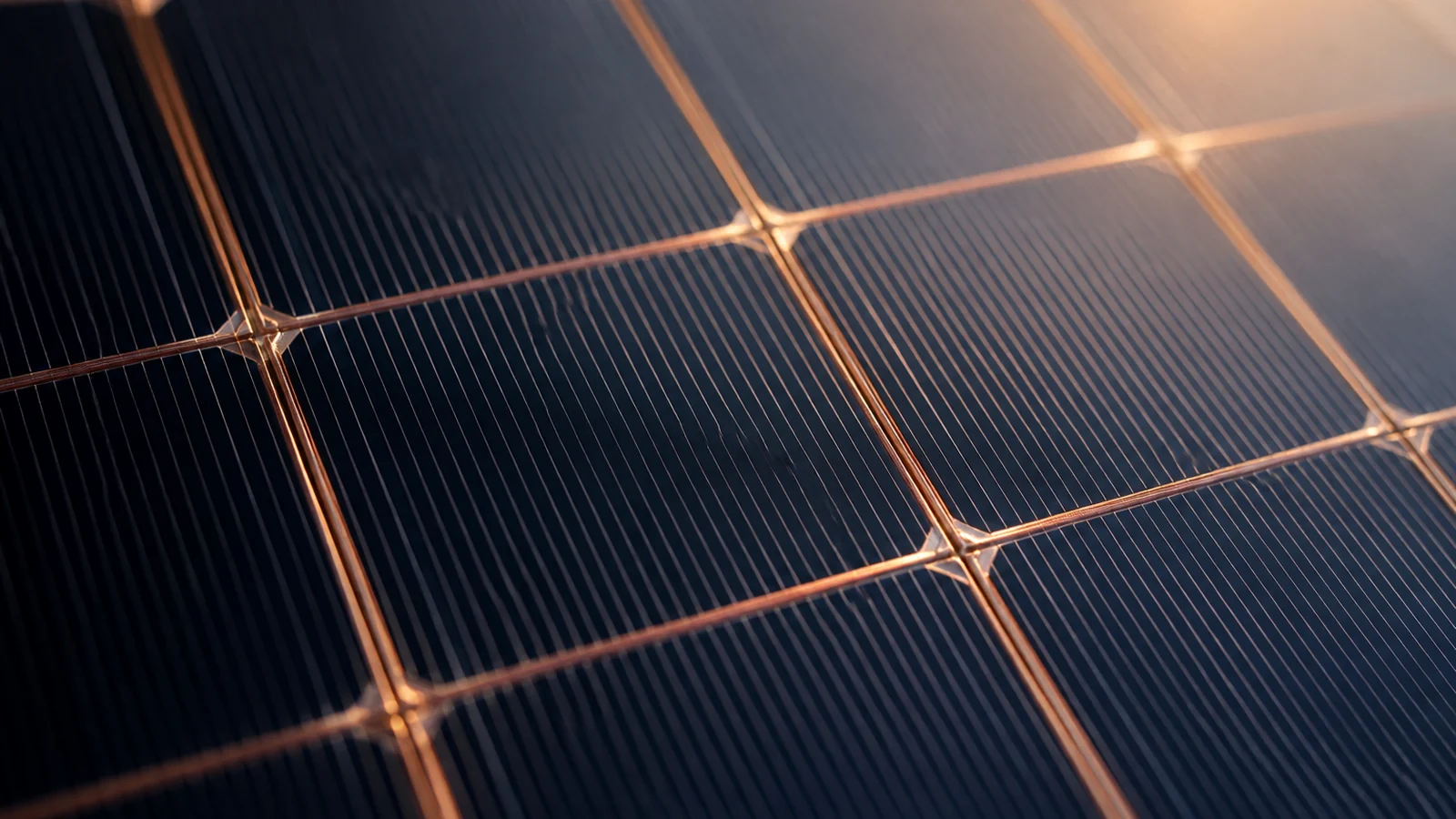 Détail de cellules photovoltaïques monocristallines